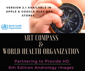 art compass partners with who