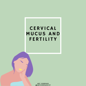 Cervical Mucus and Fertility