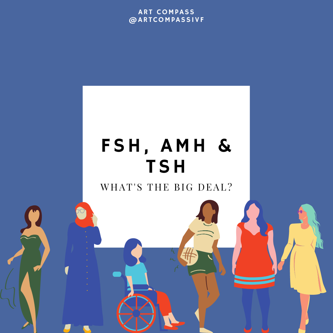 FSH AMH and TSH