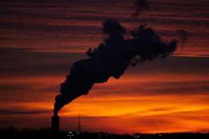 Pollution BPA and toxins