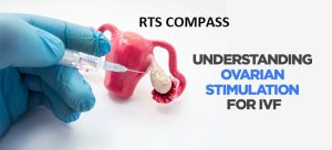 optimal ovarian stimulation